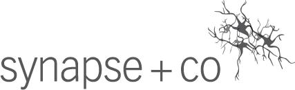 synapse + co GmbH